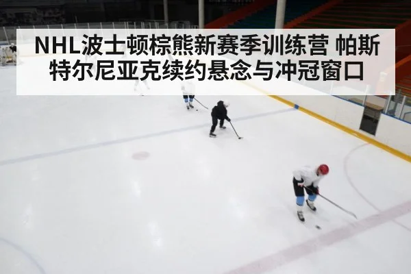 ice hockey training camp